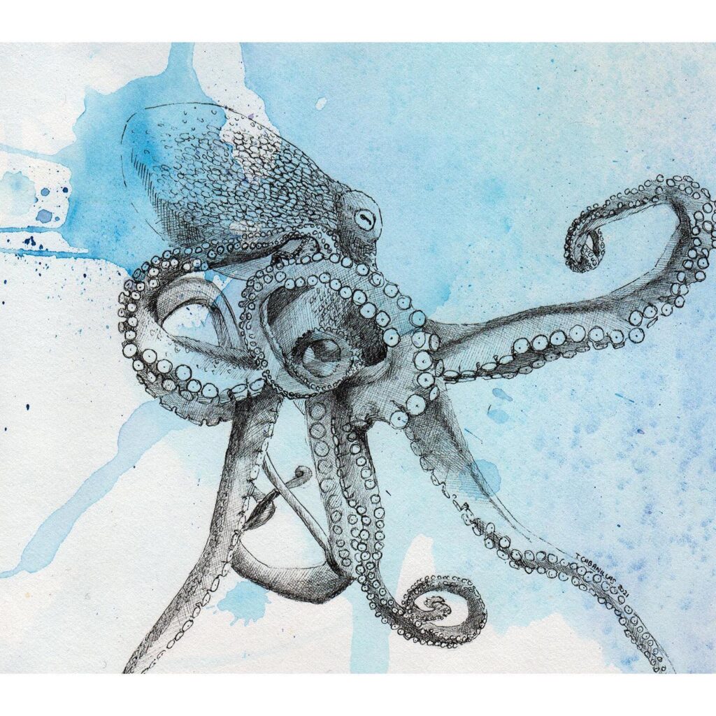Un pulpito ••••#drawing #illustration #ink #octopus #watercolor