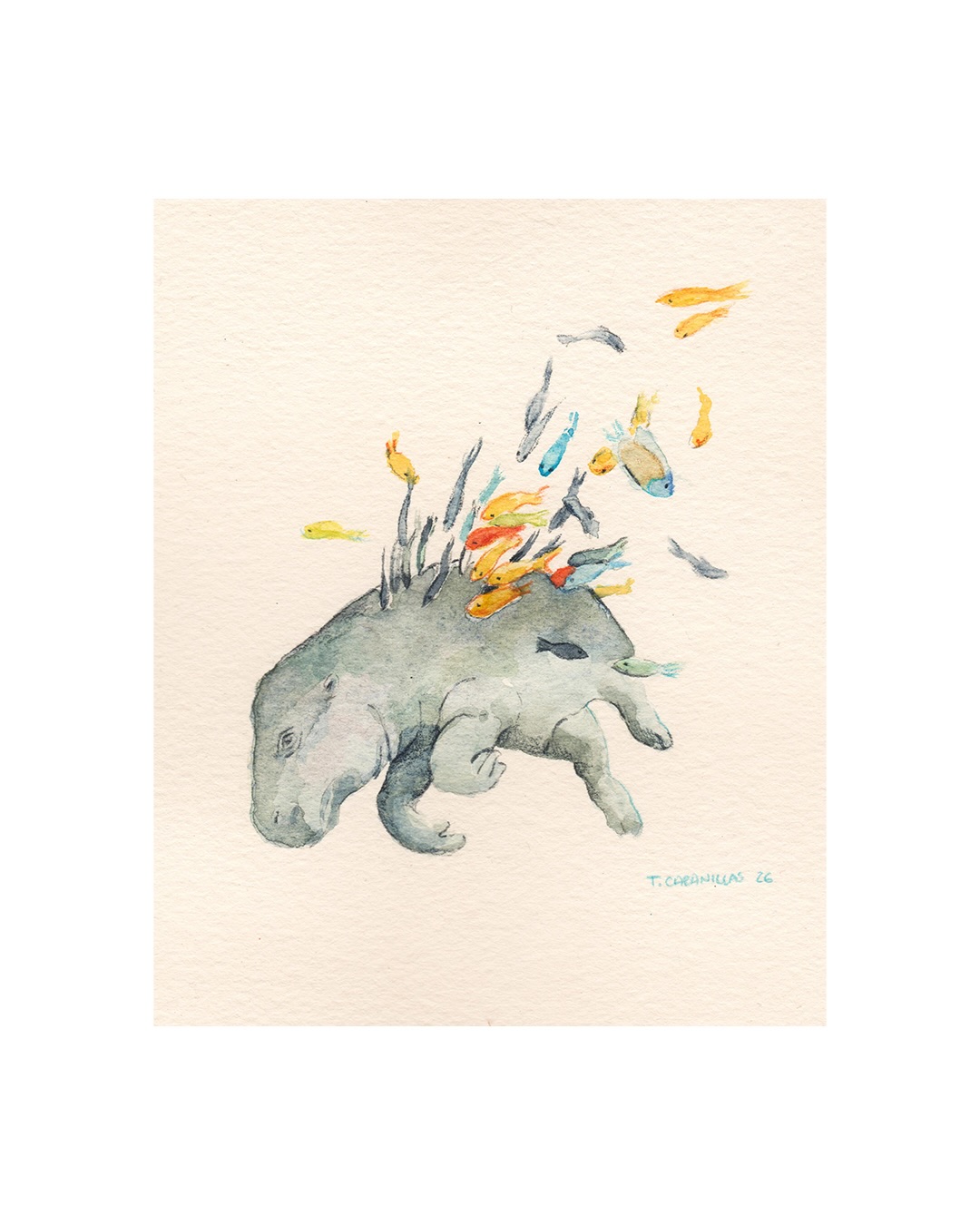 683453158_18402992065151136_8201112918618763192_n