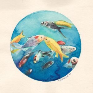 Original fish eye 1
