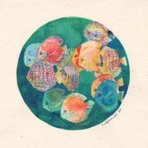 Original fish eye 3